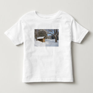 T-shirt Pour Les Tous Petits Une scène enneigée à l'étang Little Lyford de l'AM