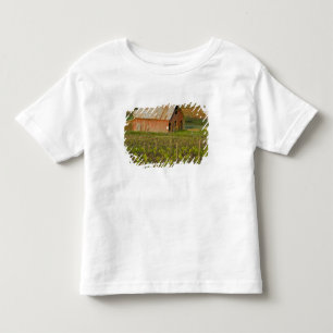T-shirt Pour Les Tous Petits Vieille grange rouge au bord du vignoble de Zinfan