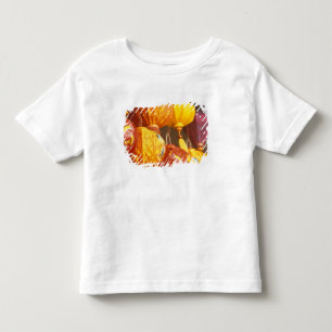 T-shirt Pour Les Tous Petits Vietnam, Hoi An Grandes lanternes, souvenirs