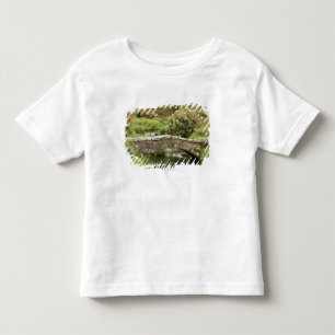 T-shirt Pour Les Tous Petits Vieux pont en pierre à travers un courant en parc