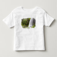 Vue brouillée de cascade et de forêt en Orégon