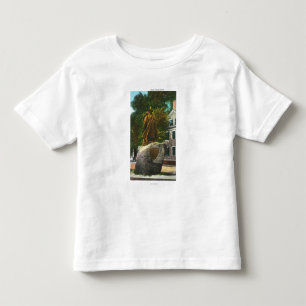 T-shirt Pour Les Tous Petits Vue de la statue de Roger Conant