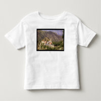 Vue de l'abbaye de St Martin du Canigou