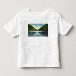 T-shirt Pour Les Tous Petits Vue de parc d'état d'entaille de Franconia de lac