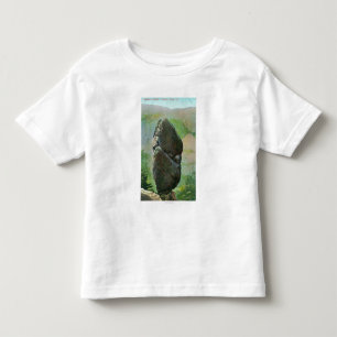 T-shirt Pour Les Tous Petits Vue de parc national d'Aggassiz ColumnYosemite, CA