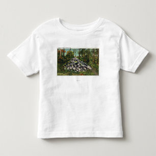 T-shirt Pour Les Tous Petits Vue du cairn de Thoreau