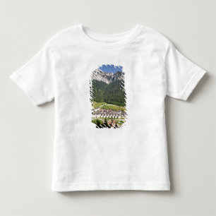 T-shirt Pour Les Tous Petits Vue du complexe de monastère