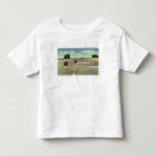 T-shirt Pour Les Tous Petits Vue du désert du Maine