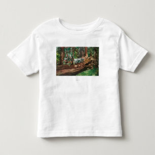 T-shirt Pour Les Tous Petits Vue d'un car d'étape sur un géant tombé
