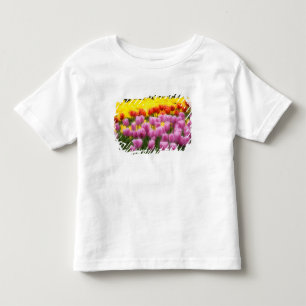 T-shirt Pour Les Tous Petits WA, Vallée de Skagit, Roozengaarde Tulip Garden, 2