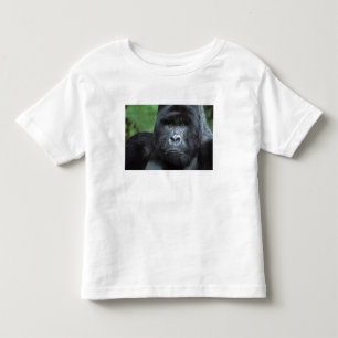 T-shirt Pour Les Tous Petits Zaïre, Parc national des Virunga. Portrait de