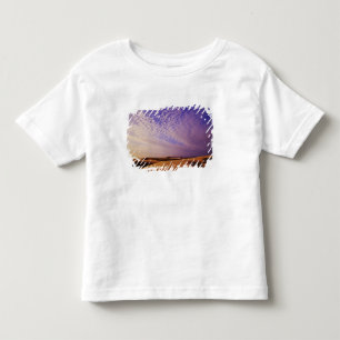 T-shirt Pour Les Tous Petits Zone de loisirs nationale des dunes de l'Oregon, O