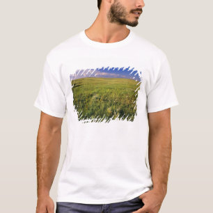 T-shirt Prairie à herbe courte dans le nord-est éloigné