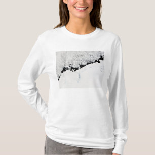 T-shirt Prince est Olav Coast du ½ s du ¿ Â