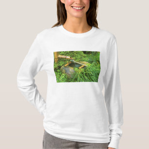 T-shirt Printemps pour la cérémonie du thé, temple Sanzen-