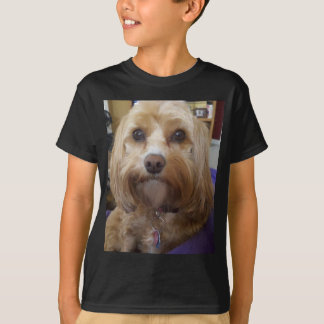 T-shirt Produits de Cavapoo ou de Cavadoodle