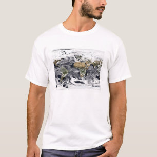 T-shirt Projection cylindrique équidistale
