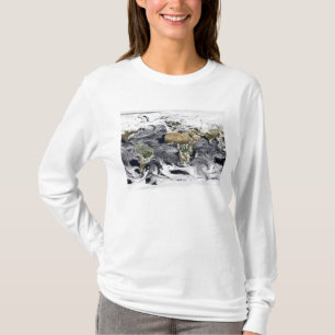 T-shirt Projection équidistante cylindrique