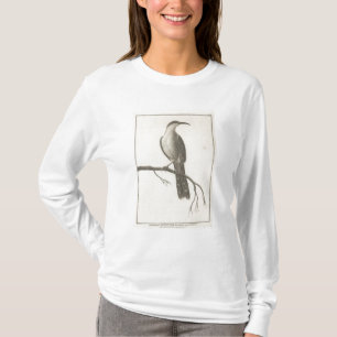 T-shirt Promerops ou mangeur d'abeille de la Californie