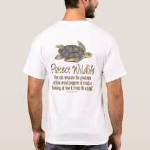 Protéger les tortues de mer
