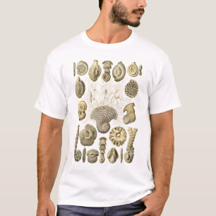 T-shirt Protozoaires