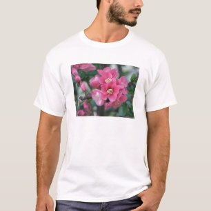 T-shirt Province à fleurs rose du printemps