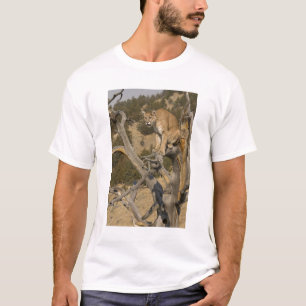 T-shirt Puma, aka couguar, cougar; Puma concolor, 2