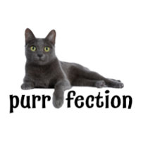 Purfection Chat Refroidissement