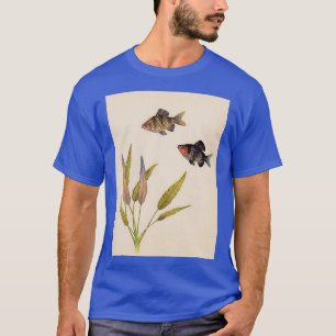 T-shirt Purplehead Barb Pethia nigrofasciata