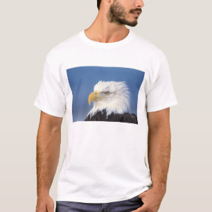 T-shirt pygargue à tête blanche, Haliaeetus leuccocephalus