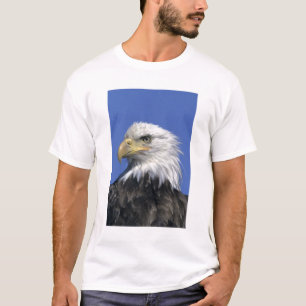 T-shirt Pygargue à tête blanche, (Haliaeetus leucocephalus