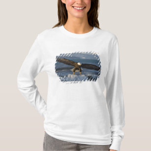 T-shirt Pygargue à tête blanche, Haliaeetus leucocephalus,