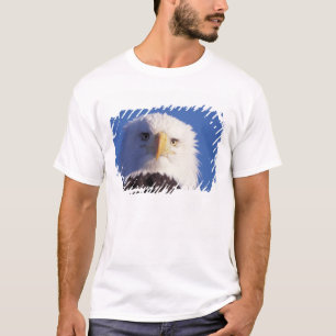 T-shirt pygargue à tête blanche, Haliaeetus leucocephalus,