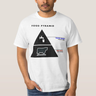 T-shirt Pyramide zéro T