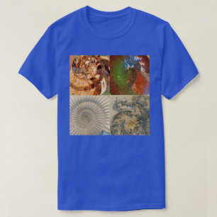 T-shirt Quatre Montage Macro Ammonite Fossile