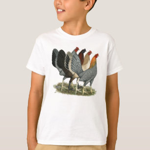 T-shirt Quatre poules de combat