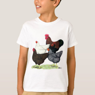 T-shirt Quatuor de rock Plymouth