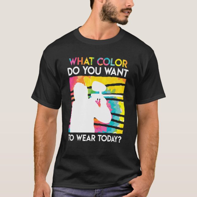 T-shirt Quelle Couleur Voulez-Vous Porter Aujourd'Hui Pain (Devant)