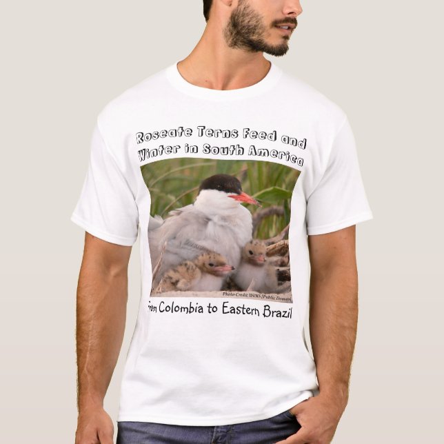 T-shirt Qu'est-ce qui tue les sternes de rose ? par RoseWr (Devant)
