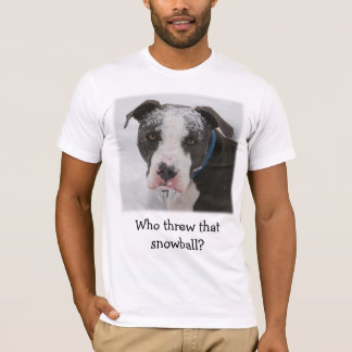 T-shirt Qui a jeté cette boule de neige ? - Customisé