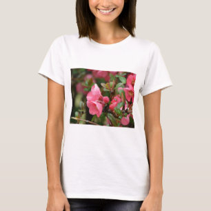 T-shirt Quince rose printanier