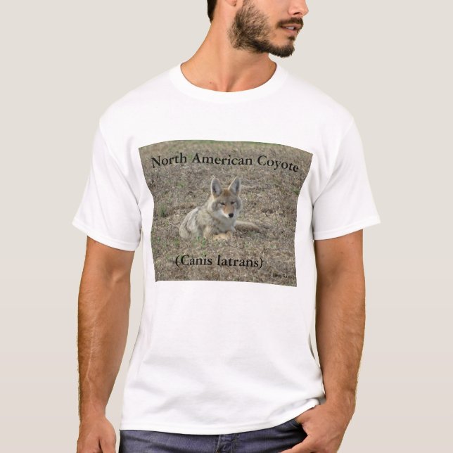 T-shirt R22 Coyote Laying (Devant)