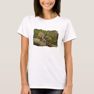 T-shirt Raccoons