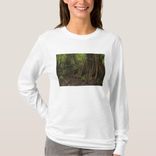 T-shirt Racines contreforts. Forêt tropicale, Mapari Rupun