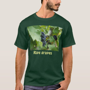 T-shirt raisins mûrs