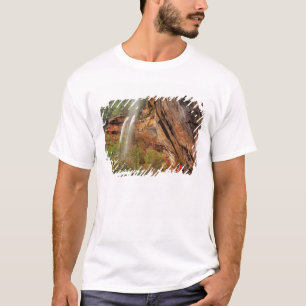 T-shirt Randonnée sur le sentier Emerald Pools à Zion Nati