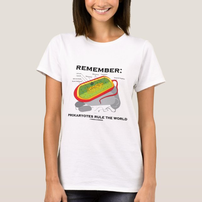 T-shirt Rappelez-vous : Les Prokaryotes ordonnent le monde (Devant)