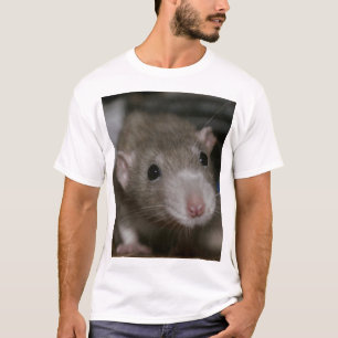 T-shirt Rat curieux