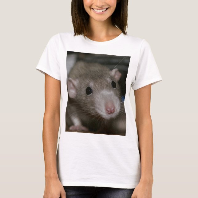 T-shirt Rat curieux (Devant)