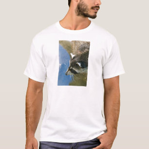 T-shirt Raton laveur